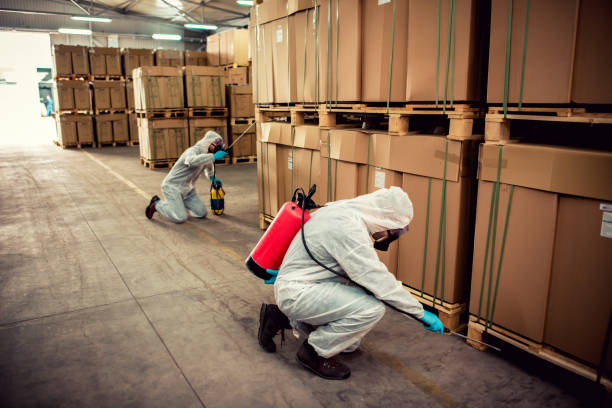 Best Residential Pest Control  in Antigo, WI