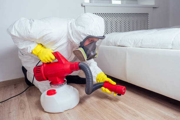 Best Bed Bug Extermination  in Antigo, WI