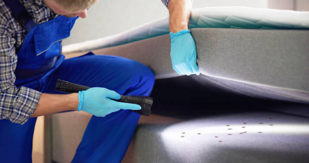 Best Pest Removal Services  in Antigo, WI