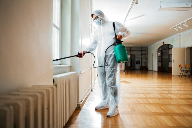 Best Emergency Pest Control  in Antigo, WI