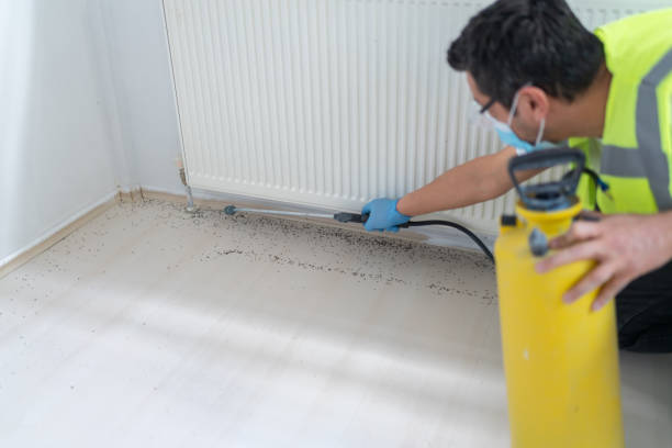Best Pest Control Treatment  in Antigo, WI