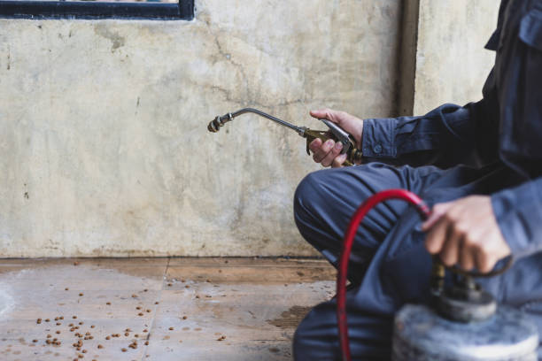Trusted Antigo, WI Pest Control Experts