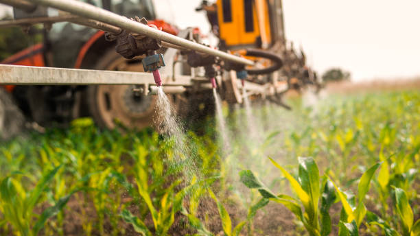 Best Pest Inspection Near Me  in Antigo, WI
